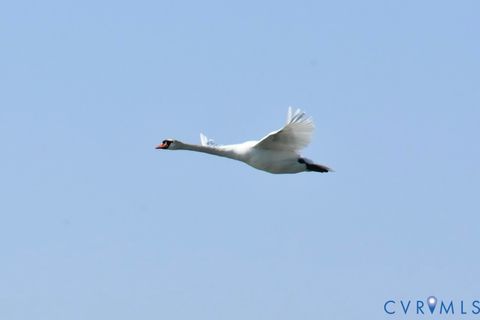 Tiny photo for 417 Potomac Shore Drive, Heathsville, VA 22473 (MLS # 2604869)