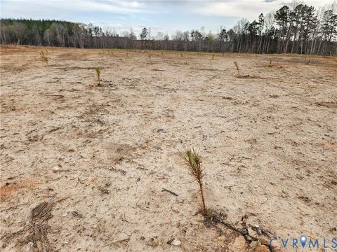 Tiny photo for 83.86 Ac S James River Road, Buckingham, VA 23921 (MLS # 2608214)