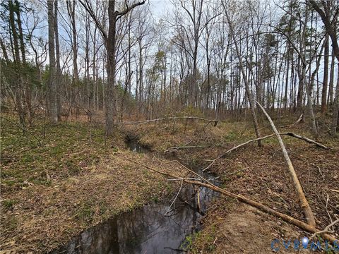 Tiny photo for 83.86 Ac S James River Road, Buckingham, VA 23921 (MLS # 2608214)