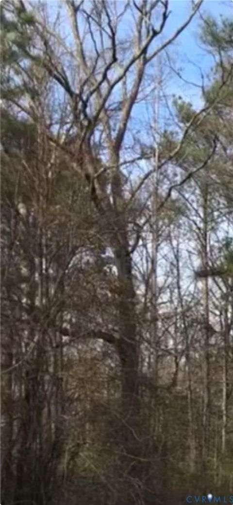 Photo of 900 Fort Lee Road Rd, Petersburg, VA 23803 (MLS # 2532625)