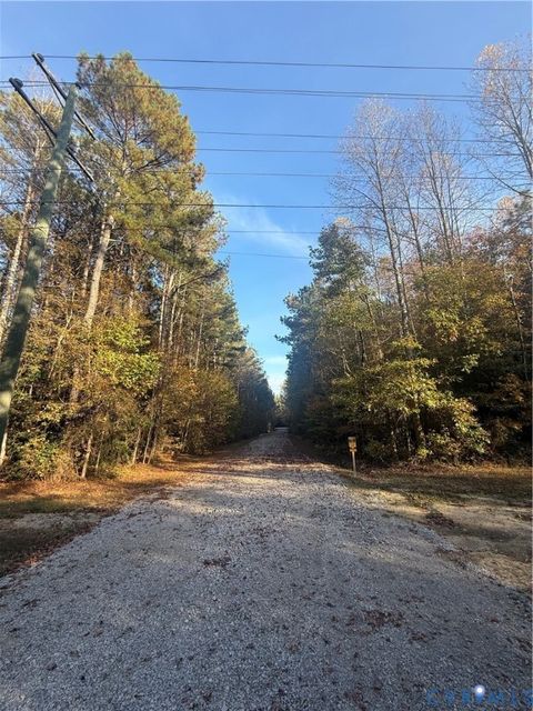 Tiny photo for TBD Hollyfield Lane, Disputanta, VA 23842 (MLS # 2530531)