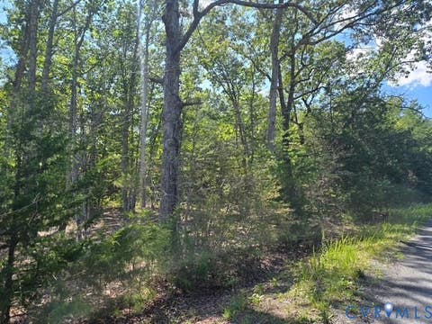 Tiny photo for 000 Miller Camp Road, Buckingham, VA 23921 (MLS # 2623296)