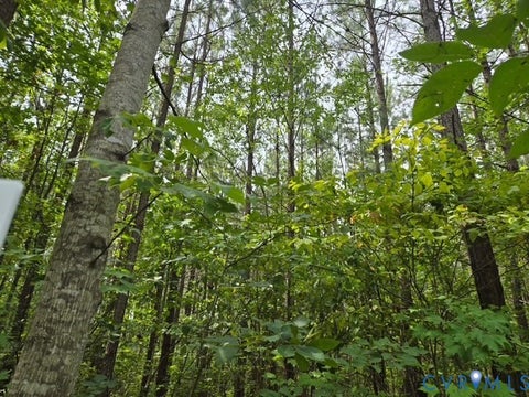 Photo of 000 Miller Camp Road, Buckingham, VA 23921 (MLS # 2623296)