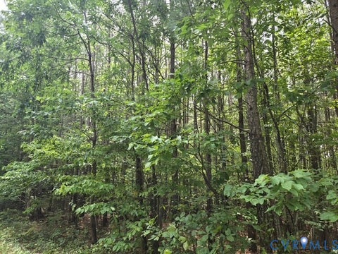 Tiny photo for 000 Miller Camp Road, Buckingham, VA 23921 (MLS # 2623296)