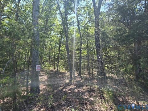 Tiny photo for 000 Miller Camp Road, Buckingham, VA 23921 (MLS # 2623296)