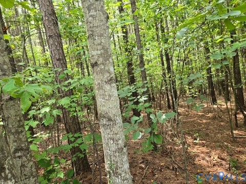 Tiny photo for 000 Miller Camp Road, Buckingham, VA 23921 (MLS # 2623296)