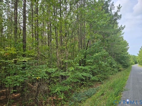 Tiny photo for 000 Miller Camp Road, Buckingham, VA 23921 (MLS # 2623296)