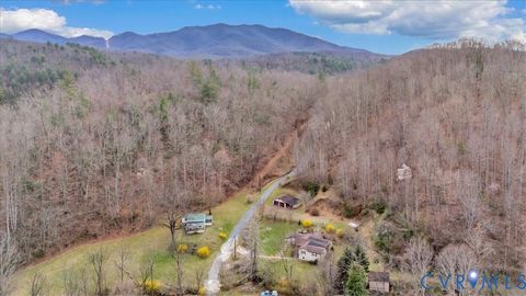 Tiny photo for 1271 Tall Peaks Lane, Big Island, VA 24526 (MLS # 2614335)