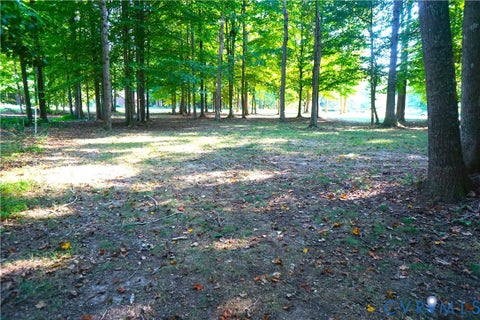 Tiny photo for 8823 Porto Court, New Kent, VA 23124 (MLS # 2623599)