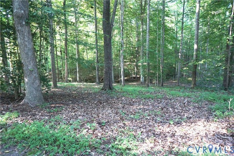 Tiny photo for 8823 Porto Court, New Kent, VA 23124 (MLS # 2623599)