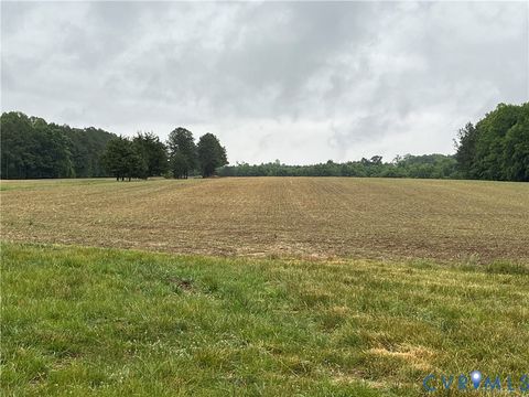 Tiny photo for 14110 Browns Road, Church Road, VA 23833 (MLS # 2613956)