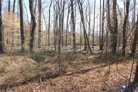 Tiny photo for 1119 W Danville Street, South Hill, VA 23970 (MLS # 2609191)