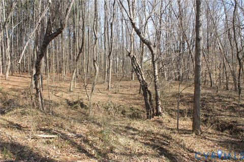 Tiny photo for 1119 W Danville Street, South Hill, VA 23970 (MLS # 2609191)