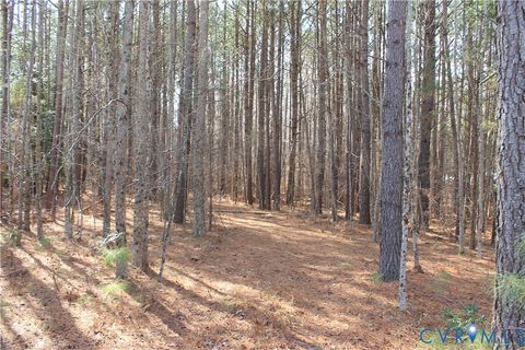 Tiny photo for 1119 W Danville Street, South Hill, VA 23970 (MLS # 2609191)