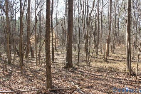 Tiny photo for 1119 W Danville Street, South Hill, VA 23970 (MLS # 2609191)