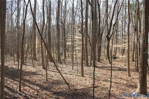 Tiny photo for 1119 W Danville Street, South Hill, VA 23970 (MLS # 2609191)