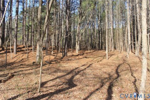 Tiny photo for 1119 W Danville Street, South Hill, VA 23970 (MLS # 2609191)