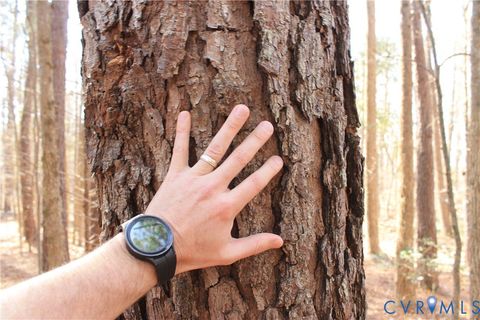 Tiny photo for 1119 W Danville Street, South Hill, VA 23970 (MLS # 2609191)