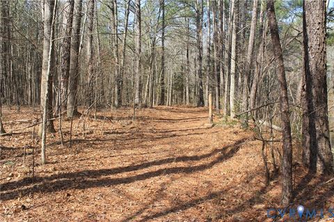 Tiny photo for 1119 W Danville Street, South Hill, VA 23970 (MLS # 2609191)