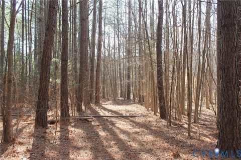 Tiny photo for 1119 W Danville Street, South Hill, VA 23970 (MLS # 2609191)