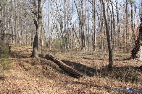 Tiny photo for 1119 W Danville Street, South Hill, VA 23970 (MLS # 2609191)