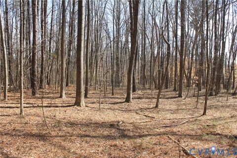 Tiny photo for 1119 W Danville Street, South Hill, VA 23970 (MLS # 2609191)