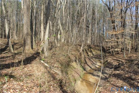 Tiny photo for 1119 W Danville Street, South Hill, VA 23970 (MLS # 2609191)