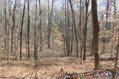 Tiny photo for 1119 W Danville Street, South Hill, VA 23970 (MLS # 2609191)