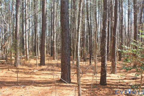 Tiny photo for 1119 W Danville Street, South Hill, VA 23970 (MLS # 2609191)