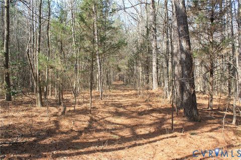 Tiny photo for 1119 W Danville Street, South Hill, VA 23970 (MLS # 2609191)