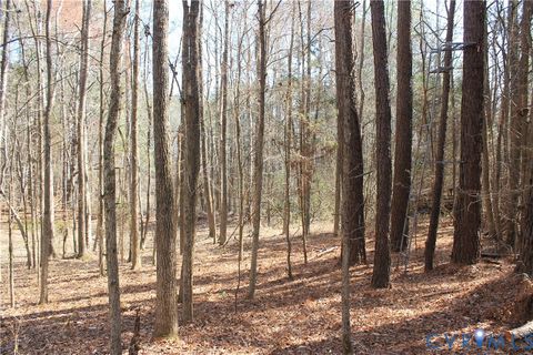 Tiny photo for 1119 W Danville Street, South Hill, VA 23970 (MLS # 2609191)