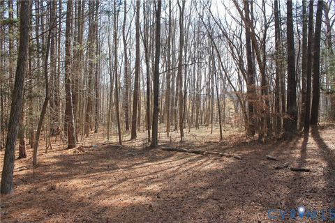 Tiny photo for 1119 W Danville Street, South Hill, VA 23970 (MLS # 2609191)