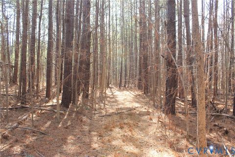 Tiny photo for 1119 W Danville Street, South Hill, VA 23970 (MLS # 2609191)