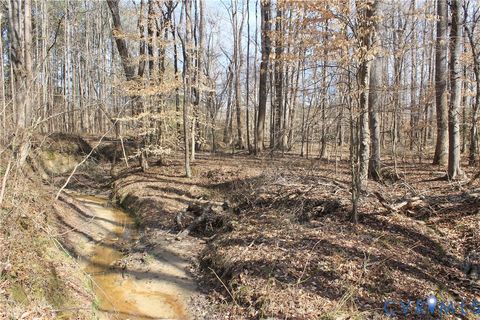 Tiny photo for 1119 W Danville Street, South Hill, VA 23970 (MLS # 2609191)