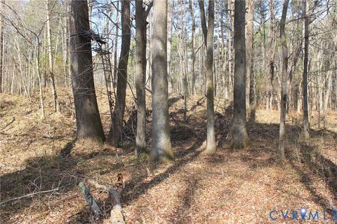 Tiny photo for 1119 W Danville Street, South Hill, VA 23970 (MLS # 2609191)