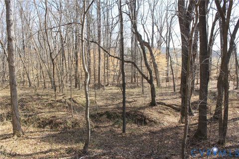 Tiny photo for 1119 W Danville Street, South Hill, VA 23970 (MLS # 2609191)