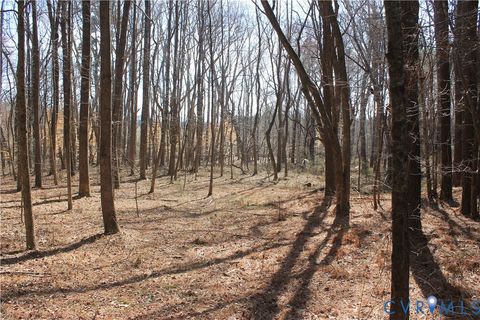 Tiny photo for 1119 W Danville Street, South Hill, VA 23970 (MLS # 2609191)