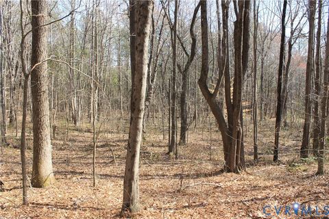 Tiny photo for 1119 W Danville Street, South Hill, VA 23970 (MLS # 2609191)