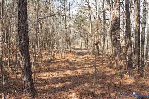 Tiny photo for 1119 W Danville Street, South Hill, VA 23970 (MLS # 2609191)