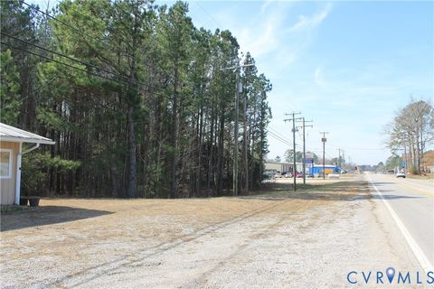 Tiny photo for 1119 W Danville Street, South Hill, VA 23970 (MLS # 2609191)