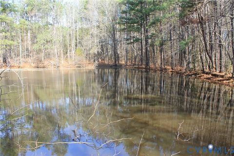 Tiny photo for 1119 W Danville Street, South Hill, VA 23970 (MLS # 2609191)