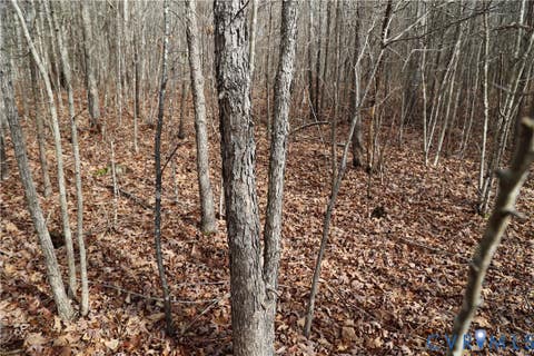 Tiny photo for 0 W Store Rd, Halifax, VA 24558 (MLS # 2622299)
