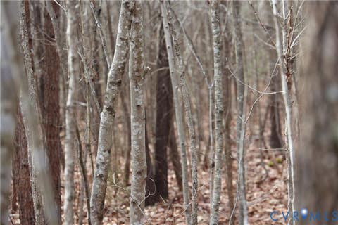 Tiny photo for 0 W Store Rd, Halifax, VA 24558 (MLS # 2622299)