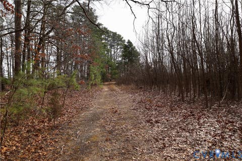 Tiny photo for 0 W Store Rd, Halifax, VA 24558 (MLS # 2622299)