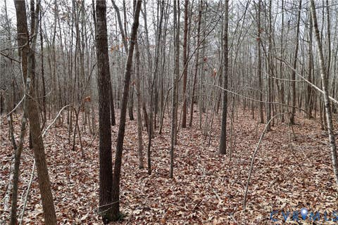 Tiny photo for 0 W Store Rd, Halifax, VA 24558 (MLS # 2622299)