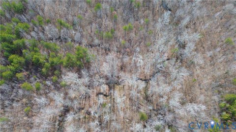 Tiny photo for 0 W Store Rd, Halifax, VA 24558 (MLS # 2622299)