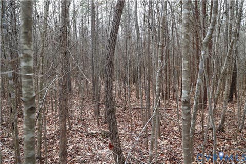Tiny photo for 0 W Store Rd, Halifax, VA 24558 (MLS # 2622299)