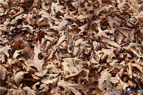 Tiny photo for 0 W Store Rd, Halifax, VA 24558 (MLS # 2622299)