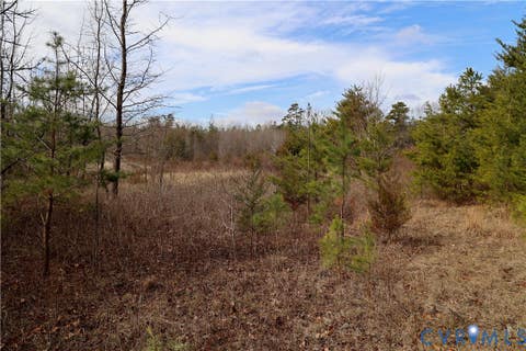 Tiny photo for 0 W Store Rd, Halifax, VA 24558 (MLS # 2622299)