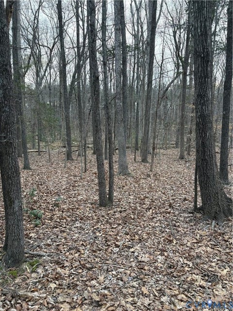 Photo of 0 doswell town Road, Meherrin, VA 23954 (MLS # 2625300)